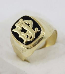 IMG 0057 266x300