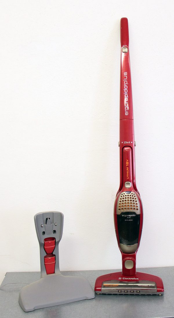 ELECTROLUX Ergorapido
