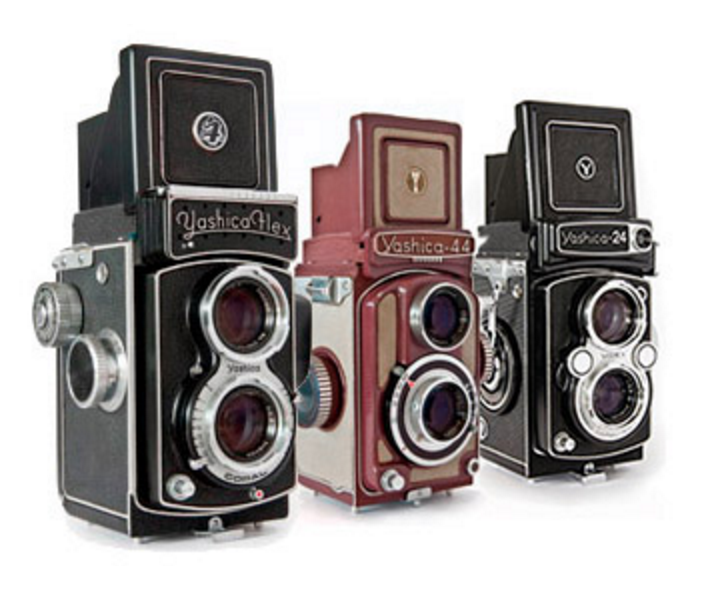 yashica