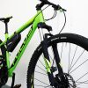 Focus Whistler ELITE 29
