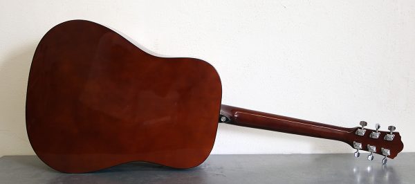Ibanez V50NJP